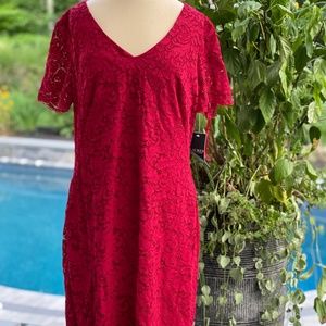 Lauren by Ralph Laureen Women's Scalloped Lace Dress